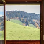 Tiroler Bergtraum 1 Und 2 Apartman