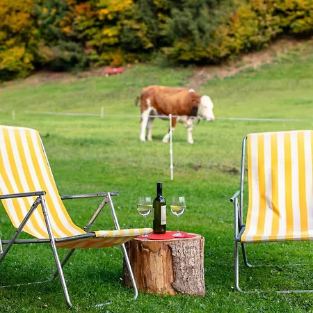 Tiroler Bergtraum 1 Und 2 Apartmán Wildschoenau