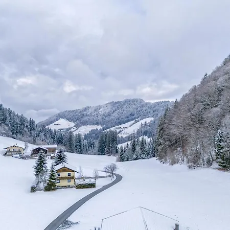 Tiroler Bergtraum 1 Und 2 Διαμέρισμα Wildschonau