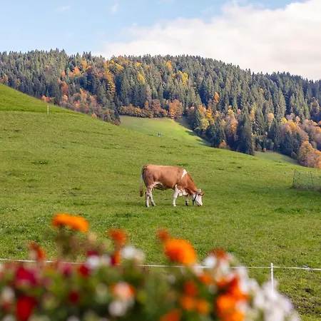 Tiroler Bergtraum 1 Und 2