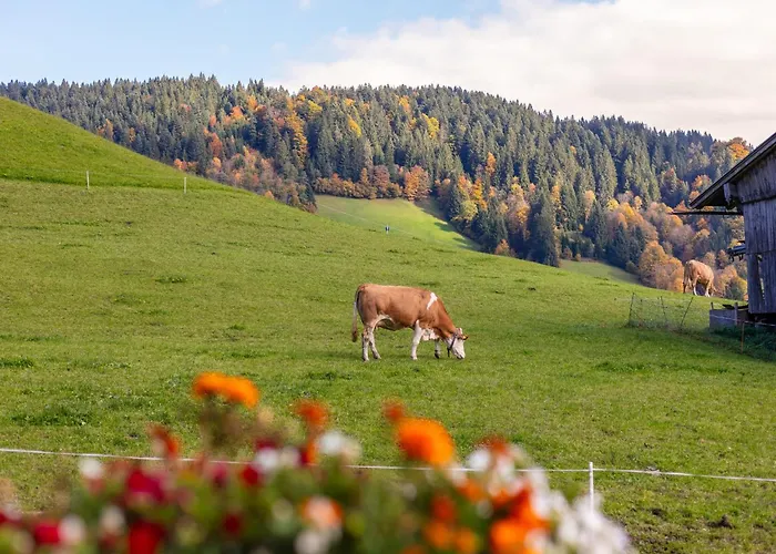 Tiroler Bergtraum 1 Und 2
