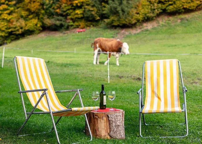 Tiroler Bergtraum 1 Und 2 شقة فيلدشوناو