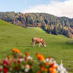 Tiroler Bergtraum 1 Und 2